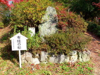 布教の松